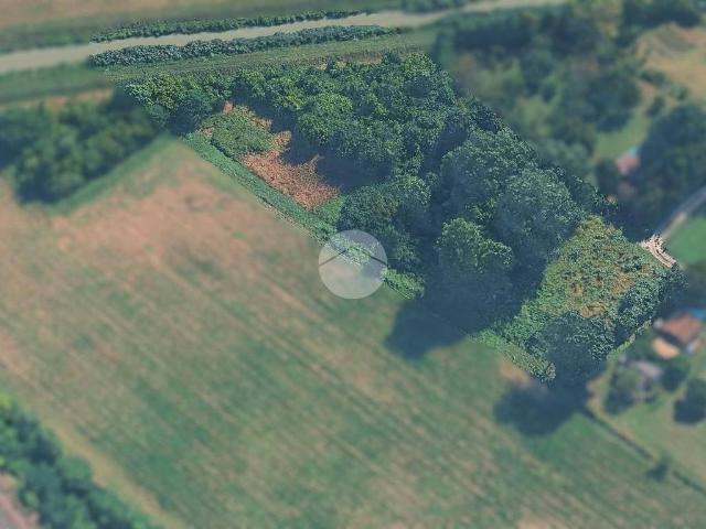 Terreno in vendita a Martellago, Veneto