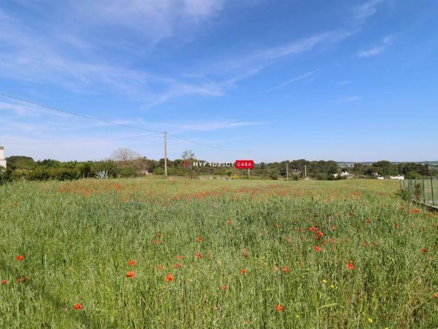 Terreno in vendita a Puglia, Taranto