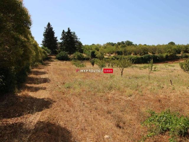 Terreno in vendita a Puglia, Taranto