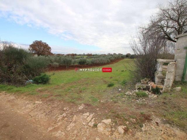 Terreno in vendita a Puglia, Brindisi