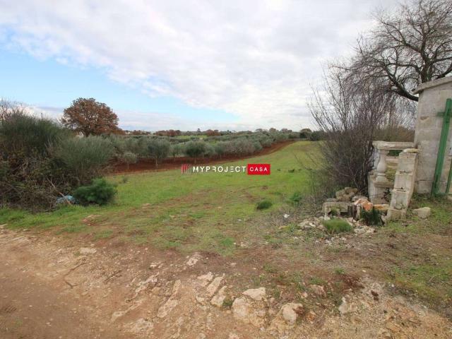 Terreno in vendita a Puglia, Brindisi