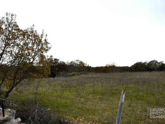 Terreno in vendita a Locorotondo, Bari