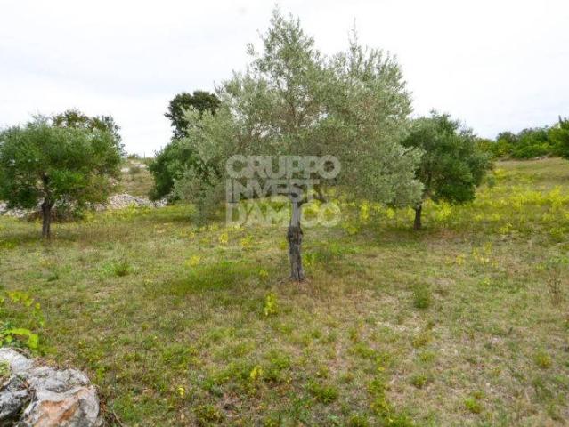 Terreno in vendita a Martina Franca, Taranto