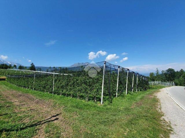 Terreno in vendita a Martinengo, Lombardia