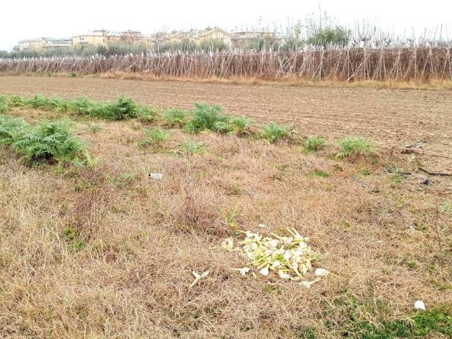 Terreno in vendita a Unione dei Comuni della Val Vibrata, Martinsicuro