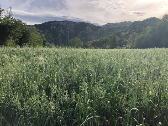 Terreno in vendita a Unione dell'Appennino Bolognese, Marzabotto