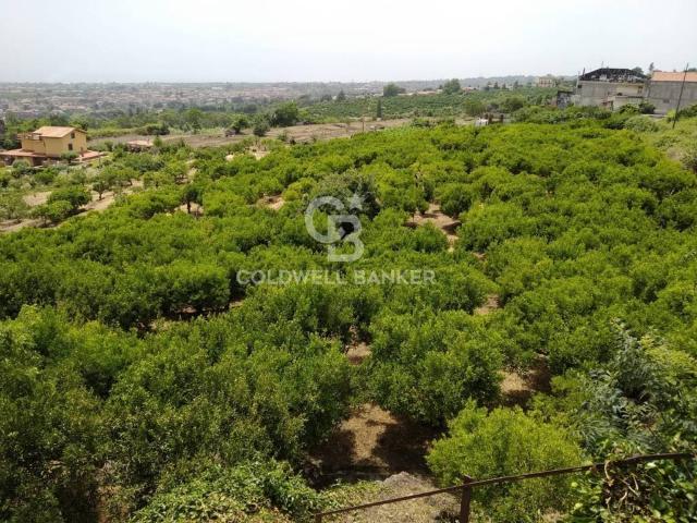 Terreno in vendita a Mascali, Sicilia