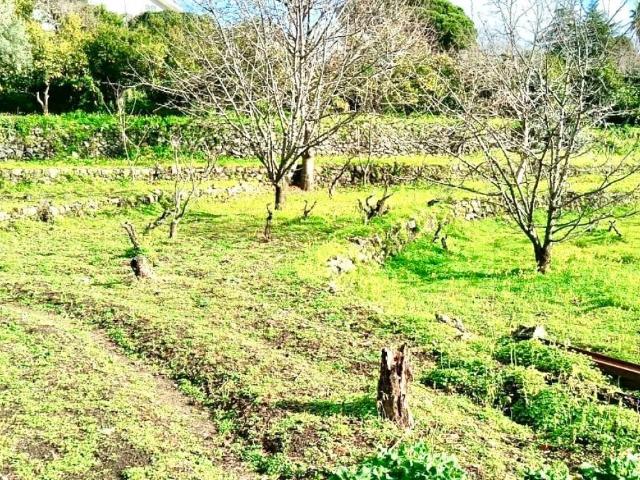 Terreno in vendita a Mascali, Sicilia
