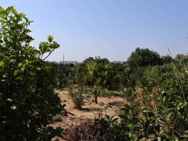 Terreno in vendita a Mascali, Sicilia
