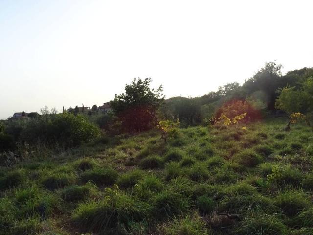 Terreno in vendita a Massannunziata, Mascalucia