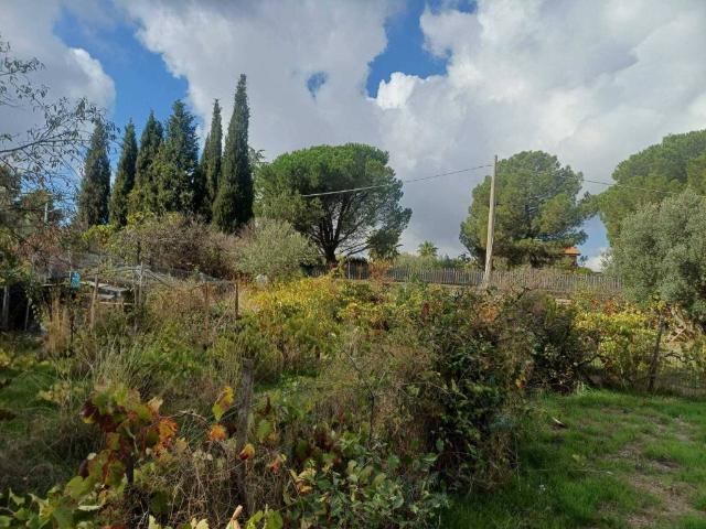 Terreno in vendita a Mascalucia, Sicilia