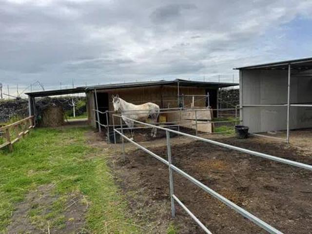 Terreno in vendita a Massannunziata, Mascalucia