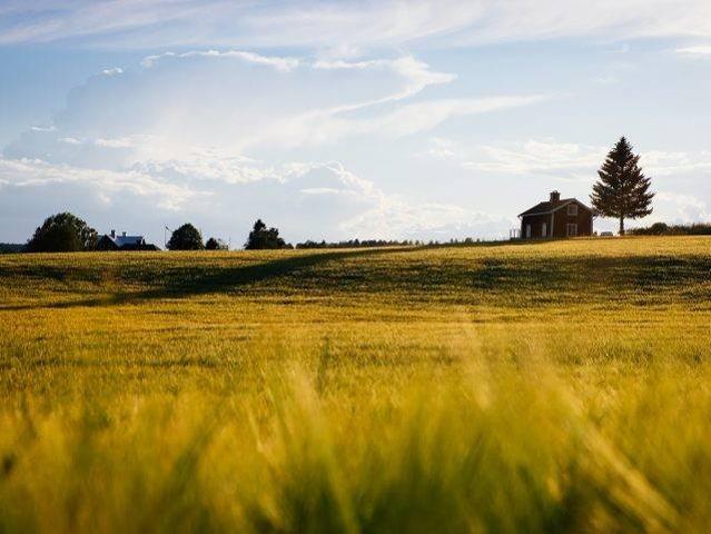 Terreno in vendita a Maserà Di Padova, Bertipaglia