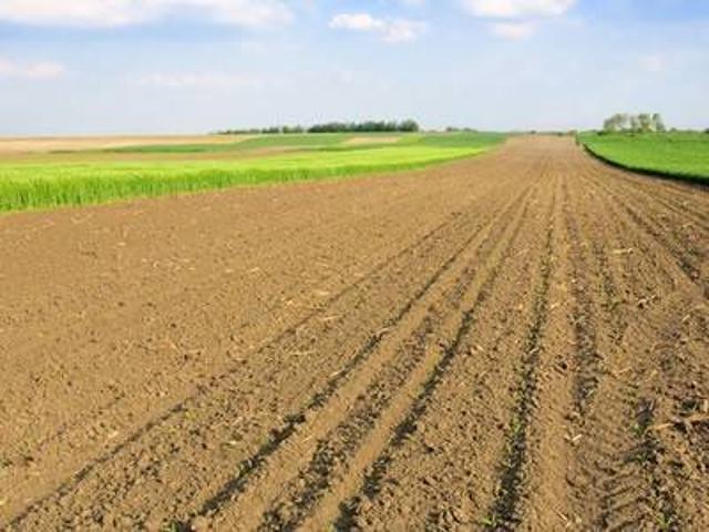 Terreno in vendita a Maserà Di Padova Terreno in vendita a Maserà Di Padova