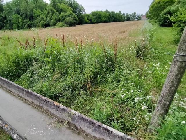 Terreno in vendita a Maserada Sul Piave, Veneto