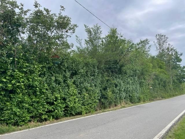 Terreno in vendita a Piemonte, Alessandria