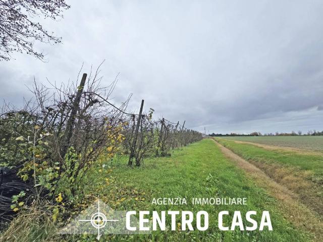 Terreno in vendita a Unione dei comuni della Bassa Romagna, Massa Lombarda