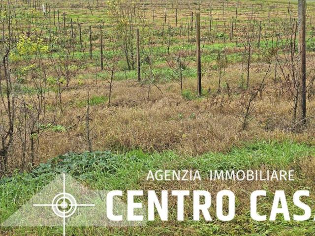 Terreno in vendita a Unione dei comuni della Bassa Romagna, Massa Lombarda
