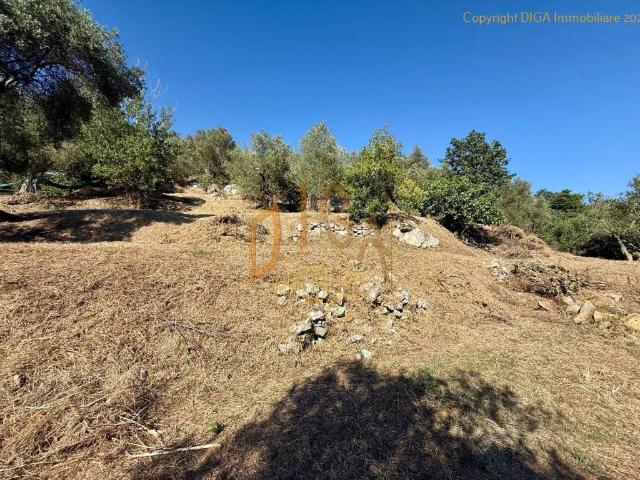 Terreno in vendita a Massa Lubrense, Campania
