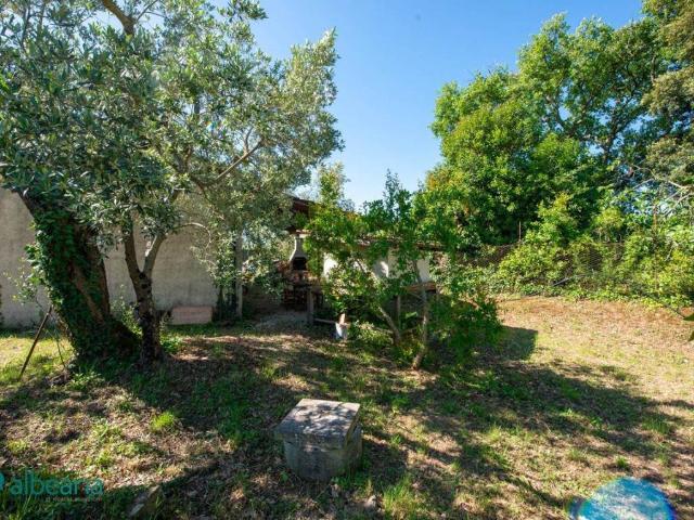 Terreno in vendita a Massa Marittima, Toscana