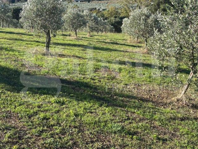 Terreno in vendita a Valpiana, Massa Marittima