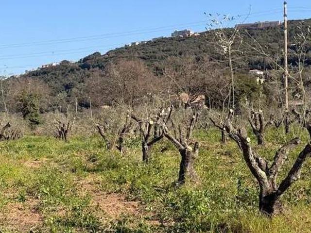 Terreno in vendita a Massa Marittima, Toscana