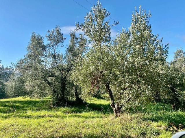Terreno in vendita a Massa Marittima, Toscana