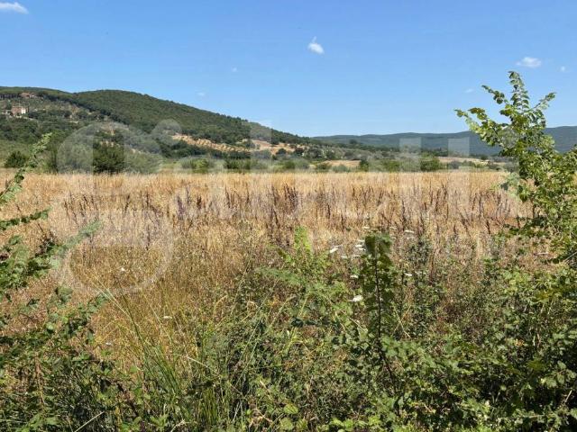 Terreno in vendita a Massa Marittima, Toscana