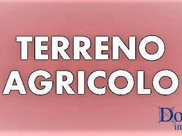 Terreno in vendita a Marina di Massa, Marina Di Massa