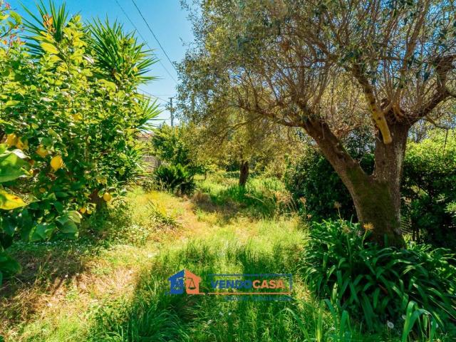 Terreno in vendita a Rinchiostra, Marina Di Massa