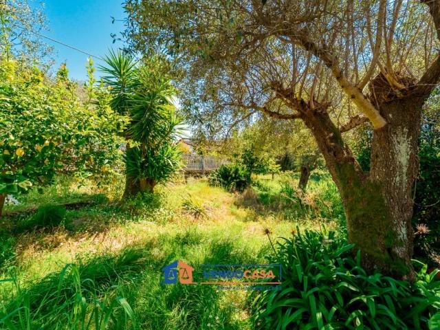Terreno in vendita a Rinchiostra, Marina Di Massa