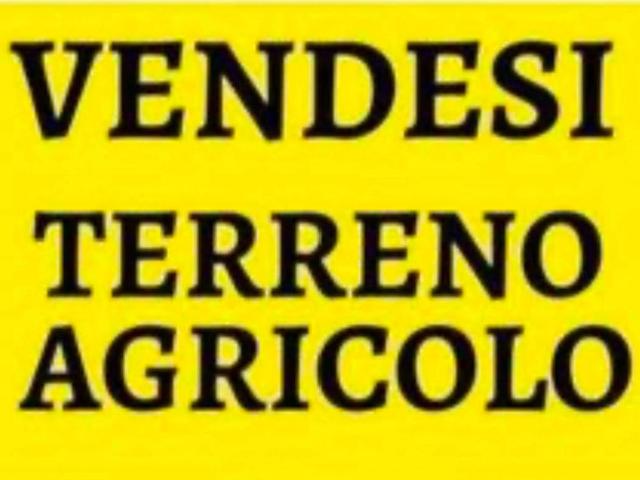Terreno in vendita a Marina di Massa, Marina Di Massa