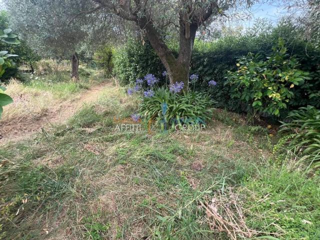 Terreno in vendita a Rinchiostra, Marina Di Massa