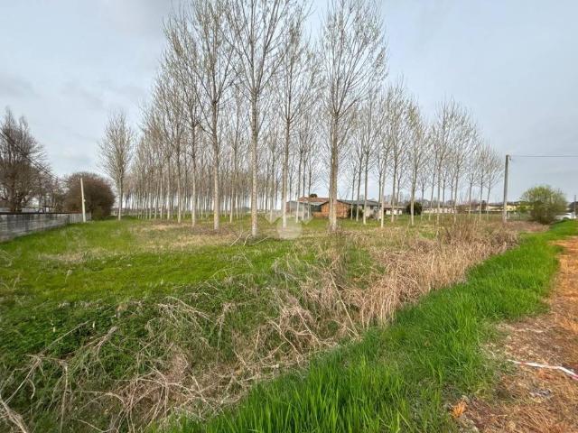 Terreno in vendita a Massanzago, Veneto