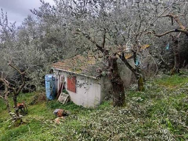 Terreno in vendita a Massarosa, Toscana