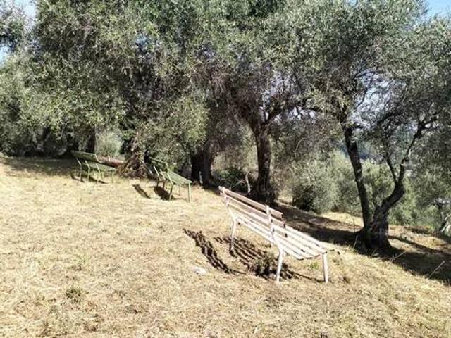 Terreno in vendita a Bargecchia, Massarosa