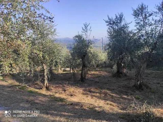 Terreno in vendita a Massarosa, Toscana