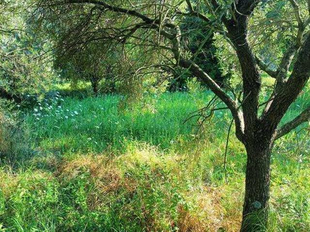 Terreno in vendita a Massarosa, Toscana