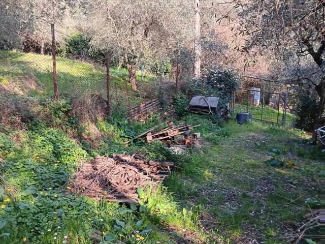 Terreno in vendita a Bargecchia, Massarosa