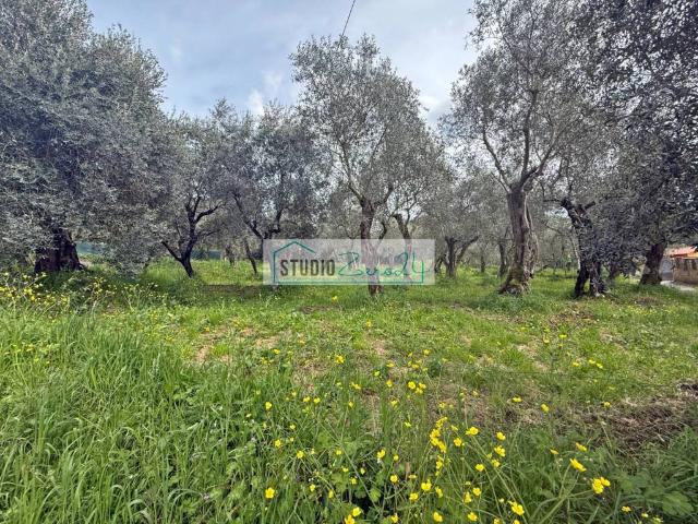 Terreno in vendita a Luciano, Massarosa