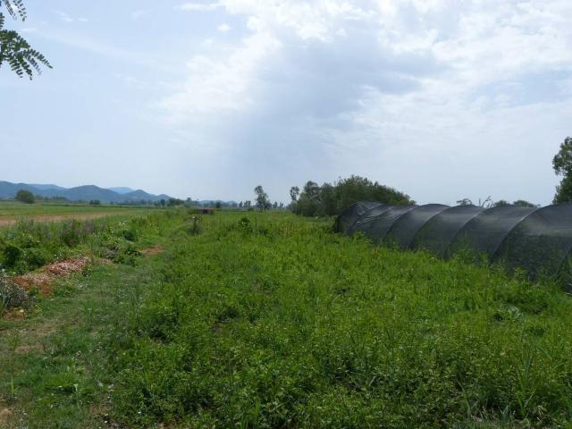 Terreno in vendita a Pian del Quercione, Massarosa