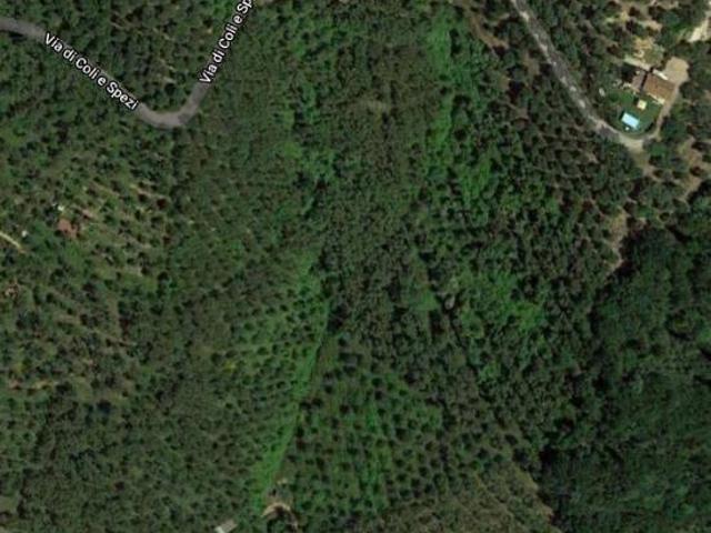 Terreno in vendita a Luciano, Massarosa
