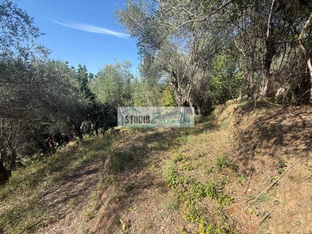 Terreno in vendita a Massarosa, Toscana