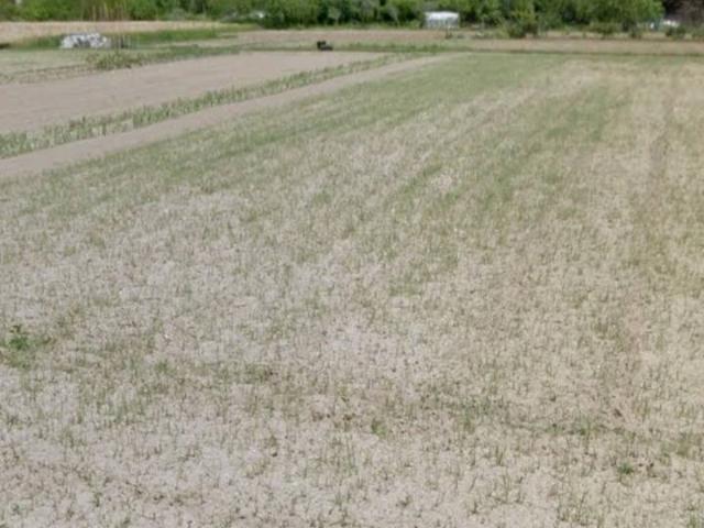 Terreno in vendita a Pian del Quercione, Massarosa