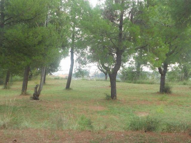 Terreno in vendita a Marche, Ascoli Piceno