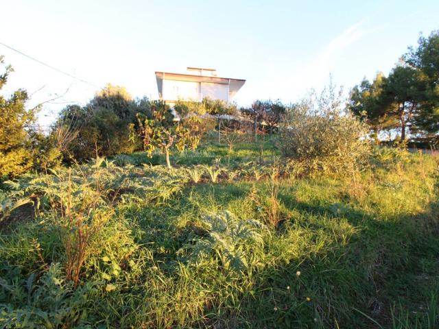 Terreno in vendita a Marche, Ascoli Piceno