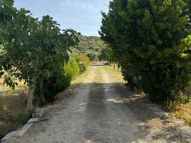 Terreno in vendita a Matera, Basilicata
