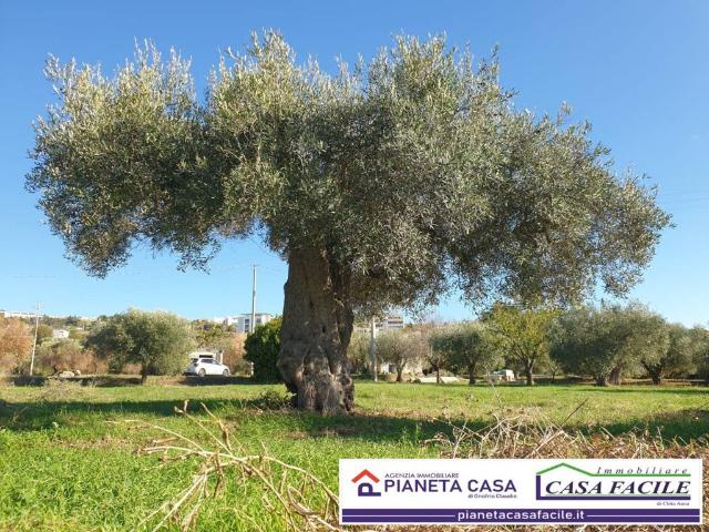 Terreno in vendita a Grotta Pignata, Matera