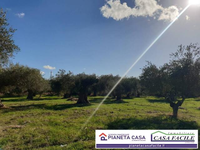 Terreno in vendita a Grotta Pignata, Matera