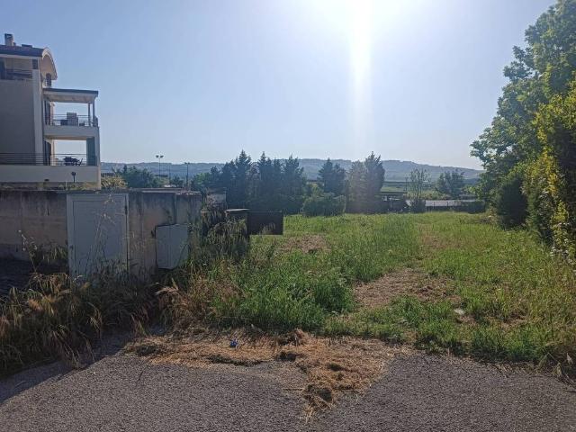 Terreno in vendita a Borgo La Martella, Matera